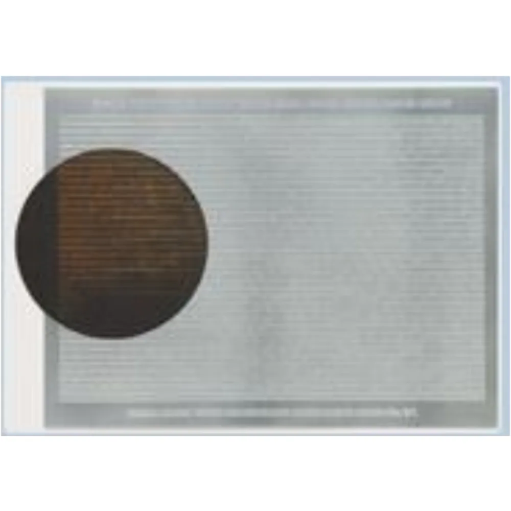 1s and 0s (Artist's note converted to Binary Code)