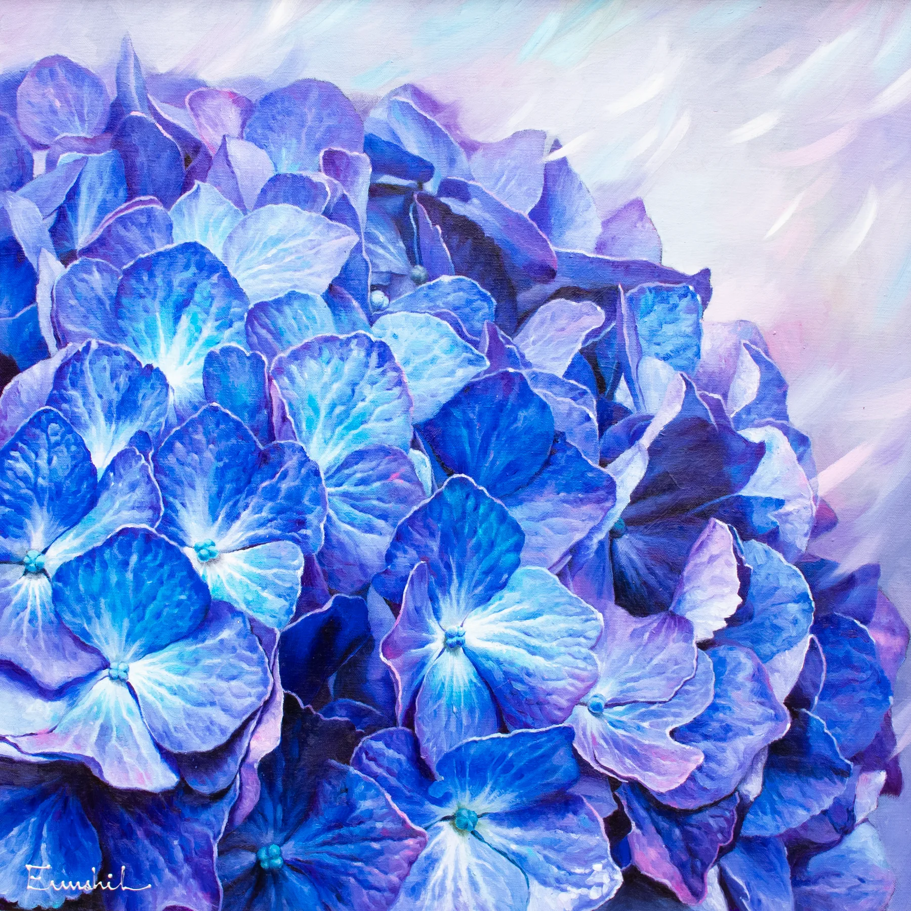 Hydrangea Blue