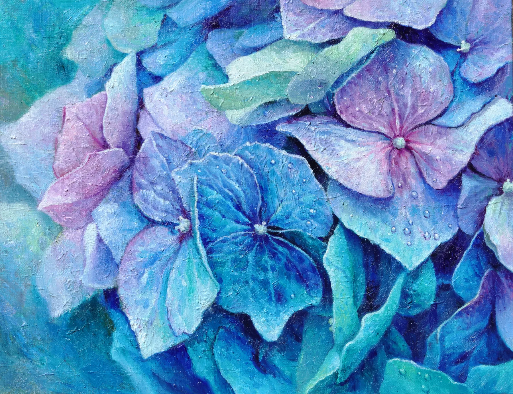 Hydrangea Blue 2