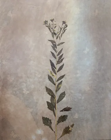 해후